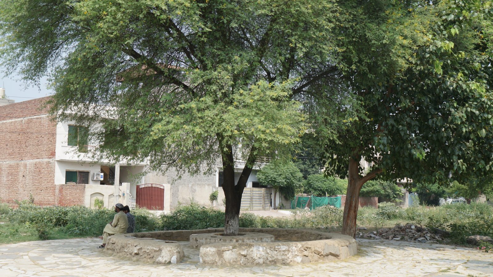 Reclaimed-material gathering space built around an existing tree by Rukh Foundation